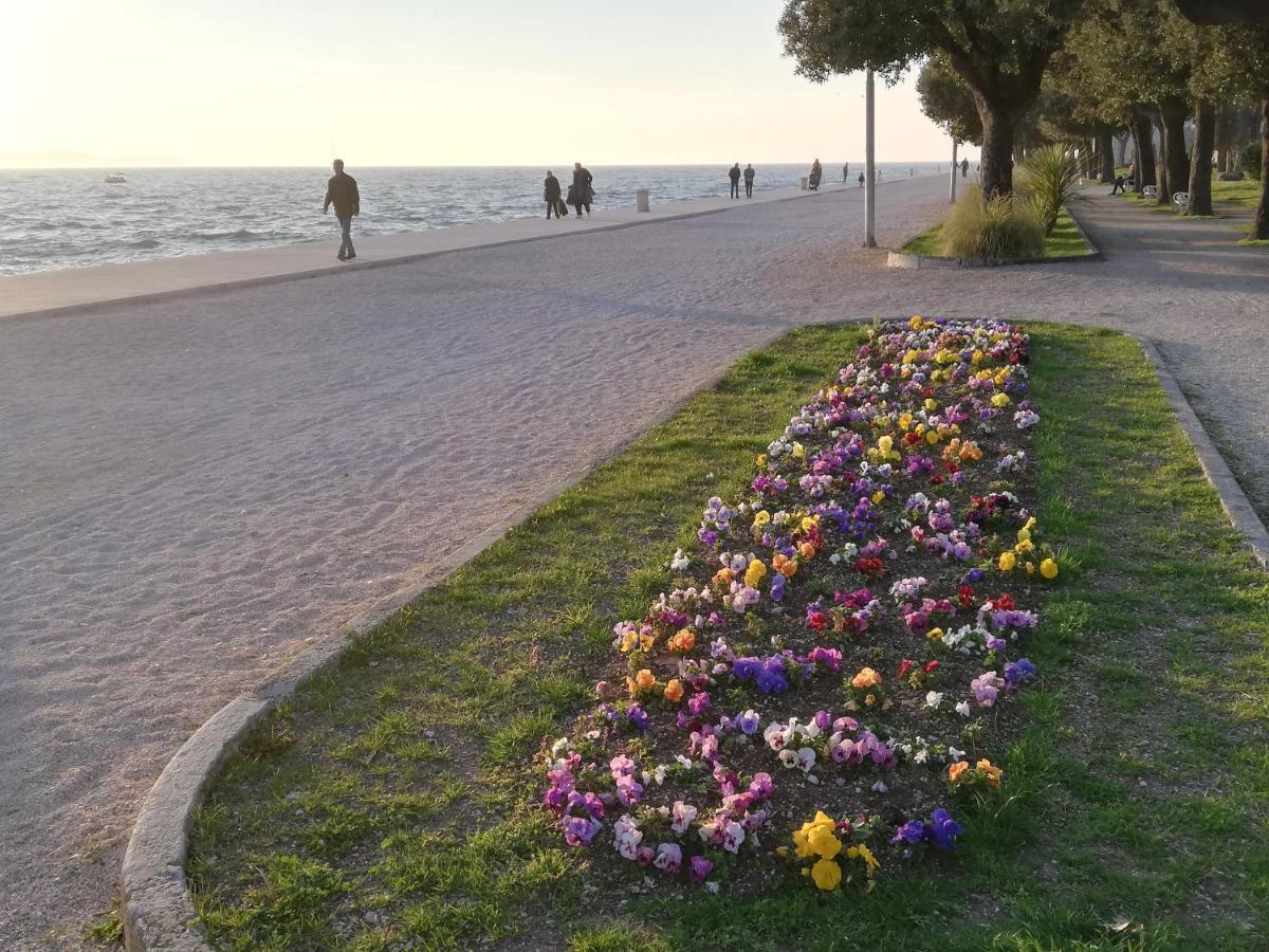 Studio Apartman Marijana Zadar Luaran gambar